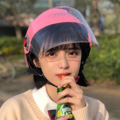 流星录最新版本